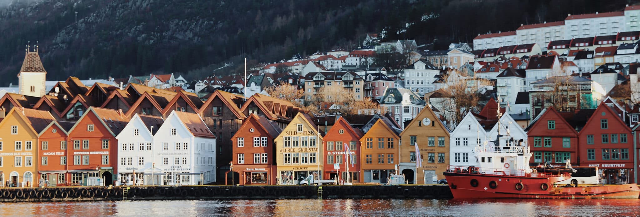 web-news-new-managing-director-cibes-norway-2350×800-1-2048×697-1